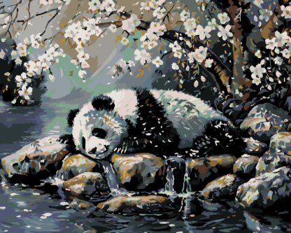 Malování podle čísel - SPÍCÍ PANDA A ROZKVETLÝ STROM Rozměr: 40x50 cm, Rámování: vypnuté plátno na rám