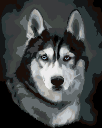 Malování podle čísel - HUSKY PORTRÉT Rozměr: 80x100 cm, Rámování: vypnuté plátno na rám