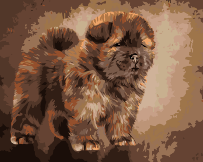 Malování podle čísel - ŠTĚNÁTKO CHOW CHOW Rozměr: 40x50 cm, Rámování: bez rámu a bez vypnutí plátna